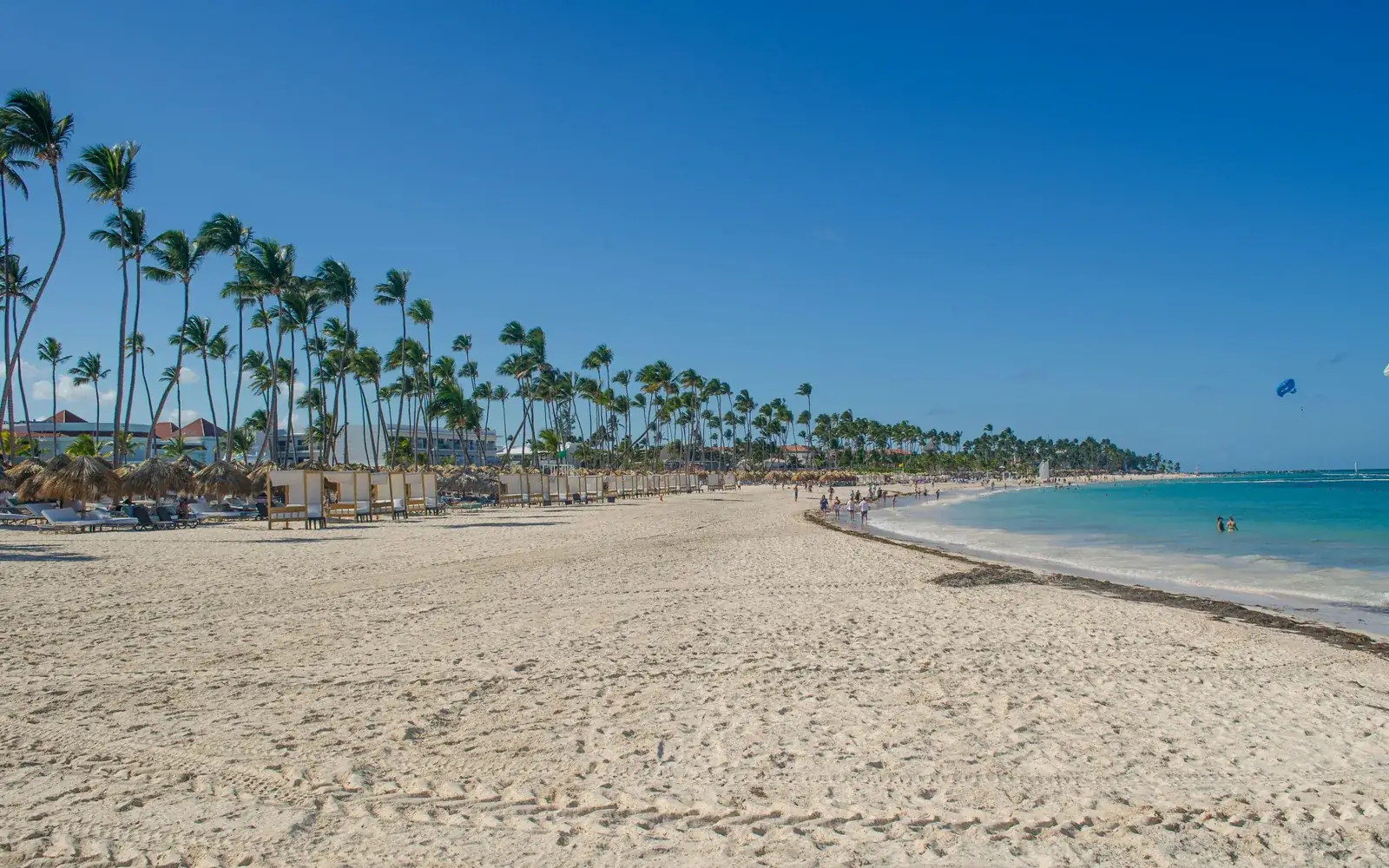 Playa de arena blanca y palmeras en Punta Cana